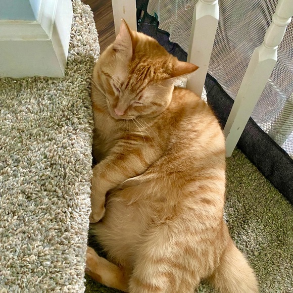 miaoru